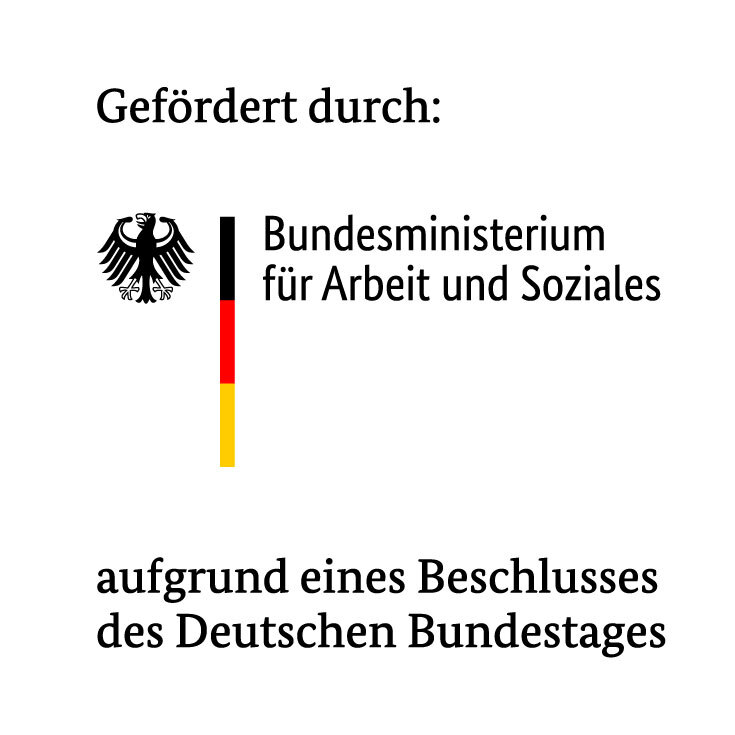 1 BMAS INQA BAUA DTP RGB