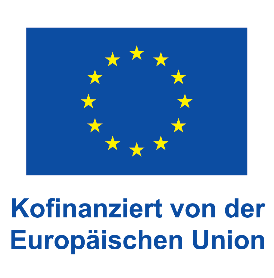 DE V Kofinanziert von der Europäischen Union POS